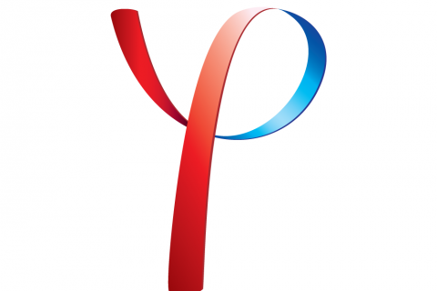 Young Professionals of Naples